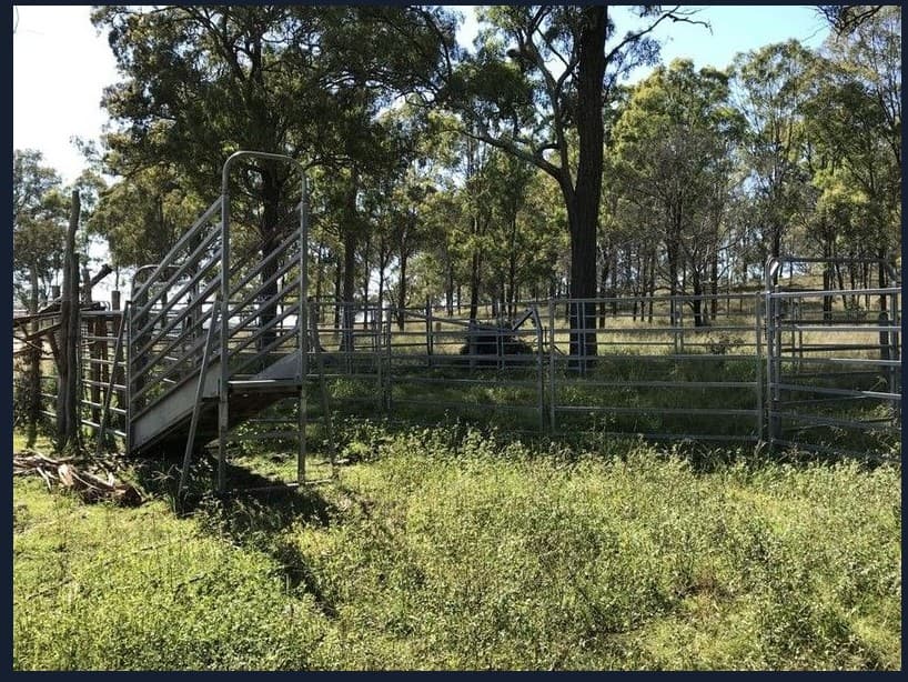 Jacob Road, Crows Nest, QLD, 4355, Crows Nest - Thumbnail 7