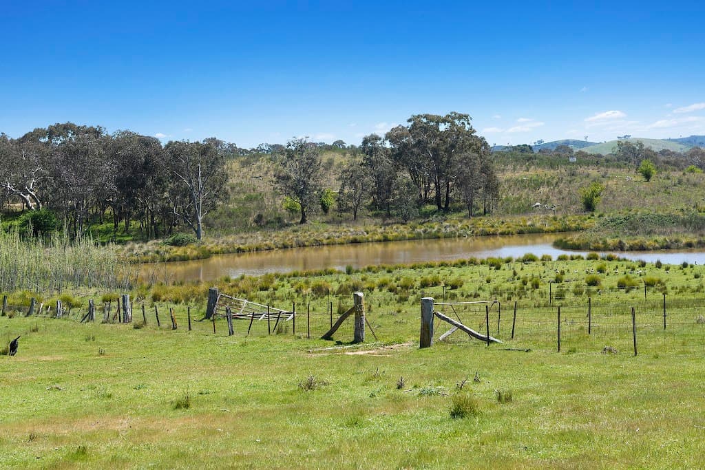 1911 Rugby Road, Bevendale, NSW, 2581, Bevendale - Thumbnail 3
