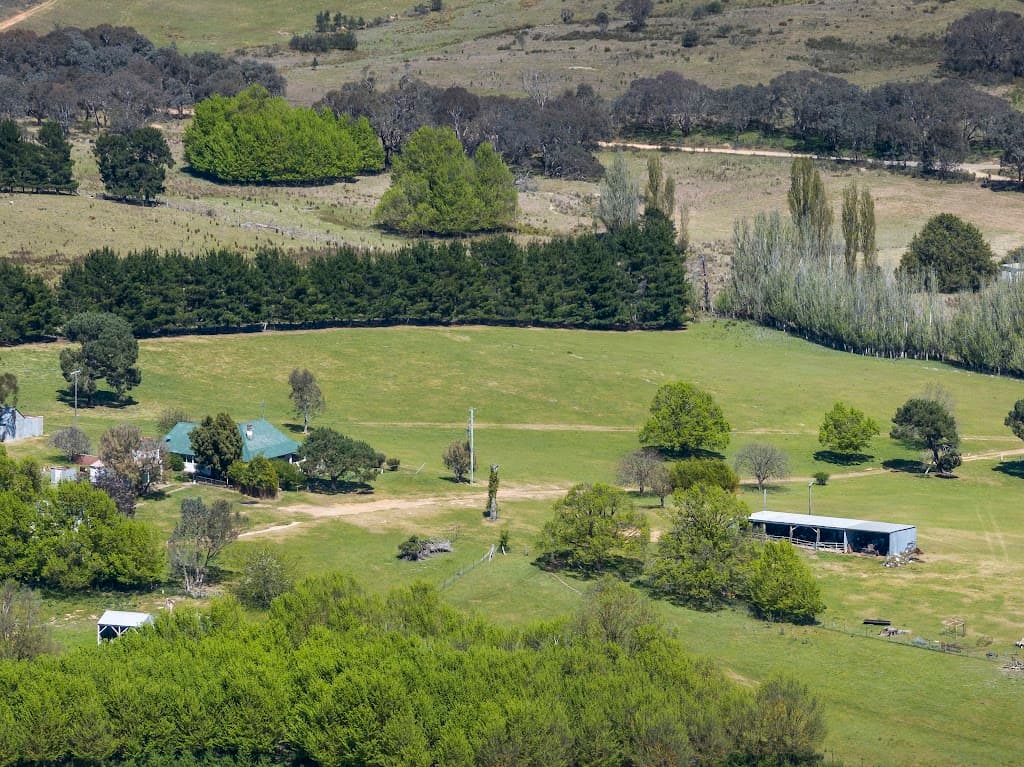 1911 Rugby Road, Bevendale, NSW, 2581, Bevendale - Thumbnail 4