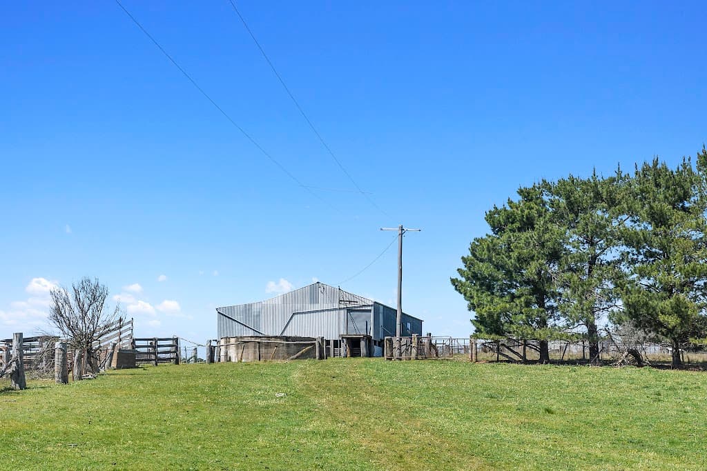 1911 Rugby Road, Bevendale, NSW, 2581, Bevendale - Thumbnail 5
