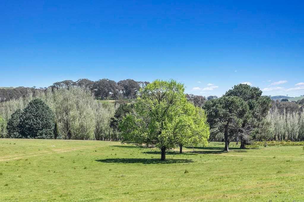 1911 Rugby Road, Bevendale, NSW, 2581, Bevendale - Thumbnail 7