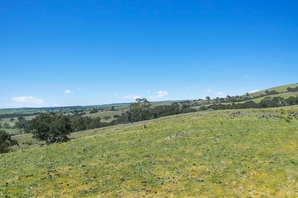1911 Rugby Road, Bevendale, NSW, 2581, Bevendale - Thumbnail 8