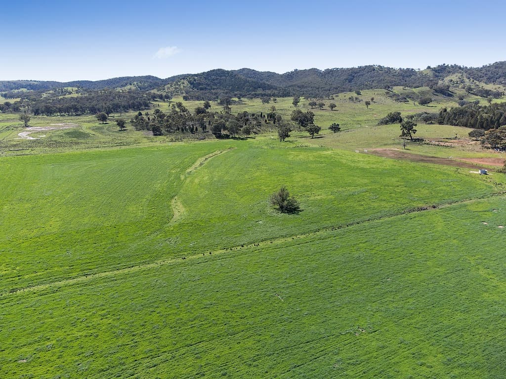 775 Mebul Road, Beryl, NSW, 2852, Beryl - Thumbnail 7