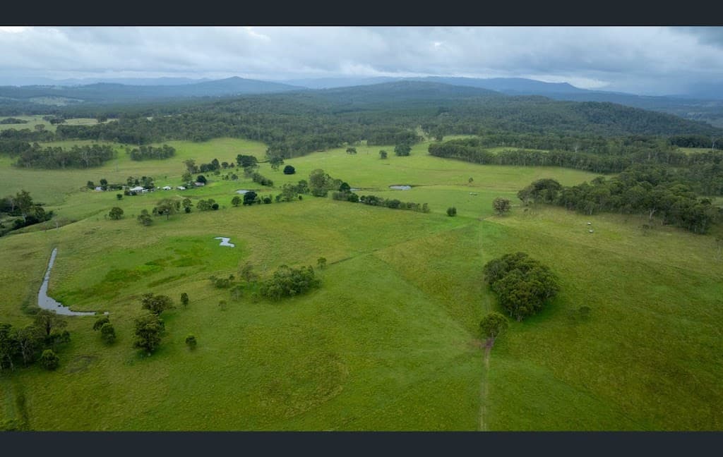 158 Vinegar Hill Road, Legume, NSW, 2476, Legume - Thumbnail 3