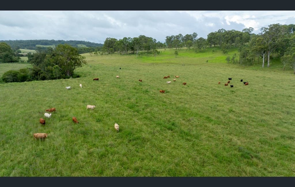 158 Vinegar Hill Road, Legume, NSW, 2476, Legume - Thumbnail 6