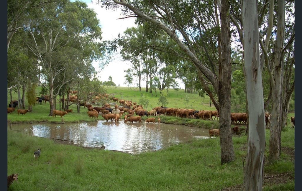 158 Vinegar Hill Road, Legume, NSW, 2476, Legume - Thumbnail 7