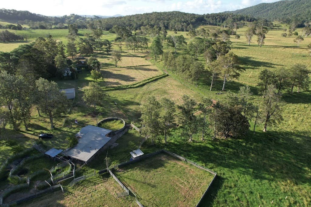 769 Neusavale Road, Neusa Vale, QLD, 4570, Neusa Vale - Thumbnail 2