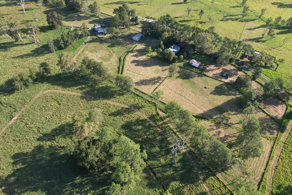 769 Neusavale Road, Neusa Vale, QLD, 4570, Neusa Vale - Thumbnail 3