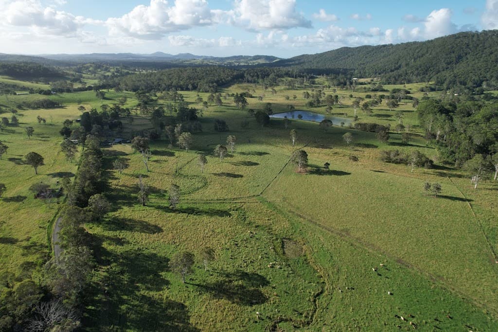 769 Neusavale Road, Neusa Vale, QLD, 4570, Neusa Vale - Thumbnail 4