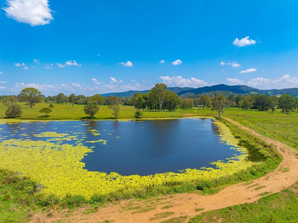 769 Neusavale Road, Neusa Vale, QLD, 4570, Neusa Vale - Thumbnail 5