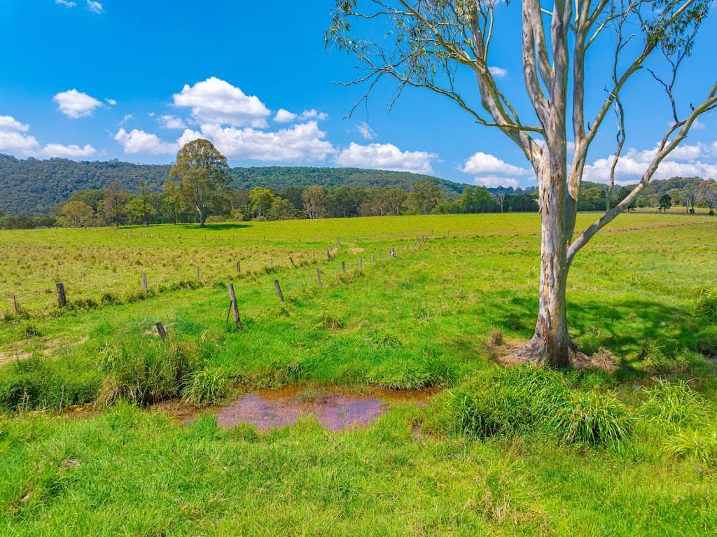 769 Neusavale Road, Neusa Vale, QLD, 4570, Neusa Vale - Thumbnail 6