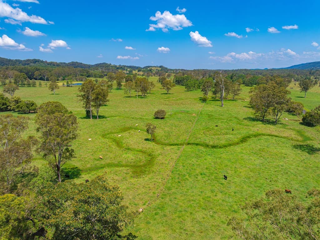 769 Neusavale Road, Neusa Vale, QLD, 4570, Neusa Vale - Thumbnail 7
