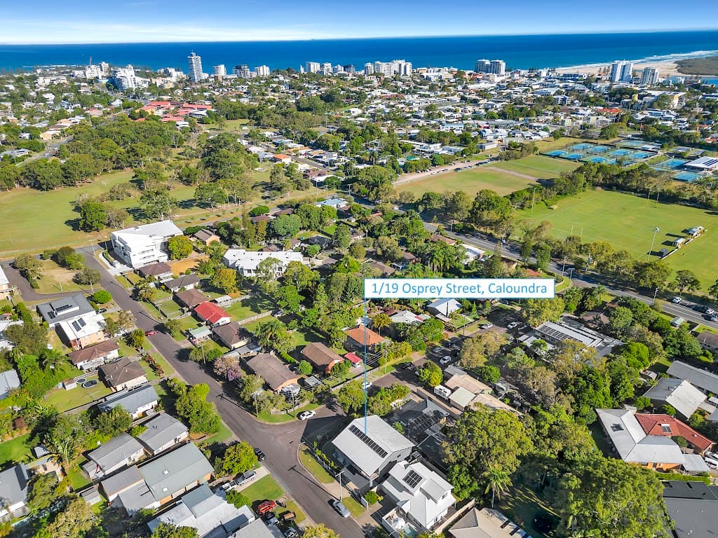 19 Osprey Street, Caloundra, QLD, 4551, Caloundra - Thumbnail 3