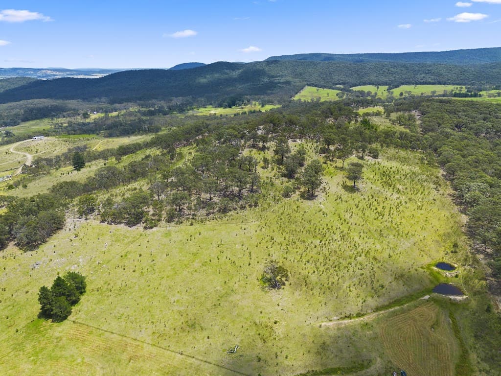 435 Towrang Road, Towrang, NSW, 2580, Towrang - Thumbnail 5