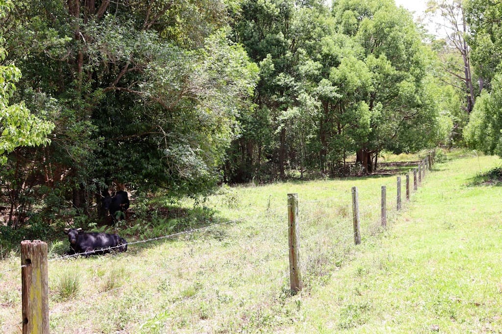 204 Perseverance Road, Kin Kin, QLD, 4571, Kin Kin - Thumbnail 4