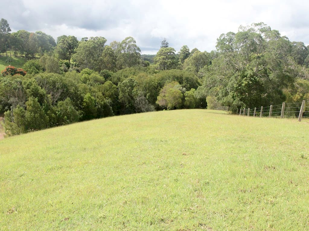 175 Black Pinch Road, Cootharaba, QLD, 4565, Cootharaba - Thumbnail 8