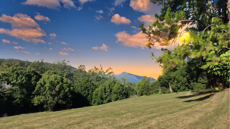 240 Rowlands Creek Road, Uki, NSW, 2484, Uki - Thumbnail 2