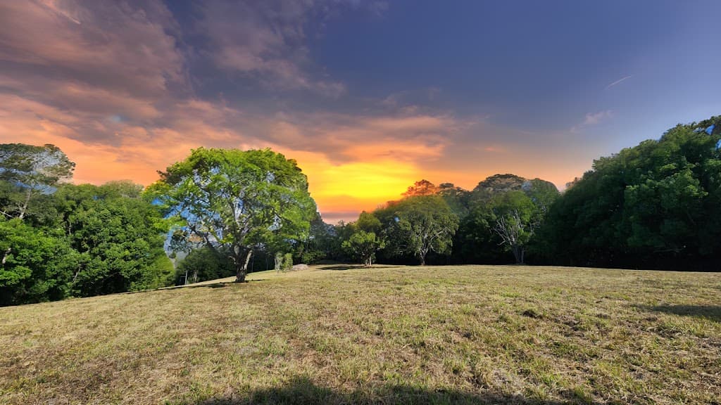 240 Rowlands Creek Road, Uki, NSW, 2484, Uki - Thumbnail 3