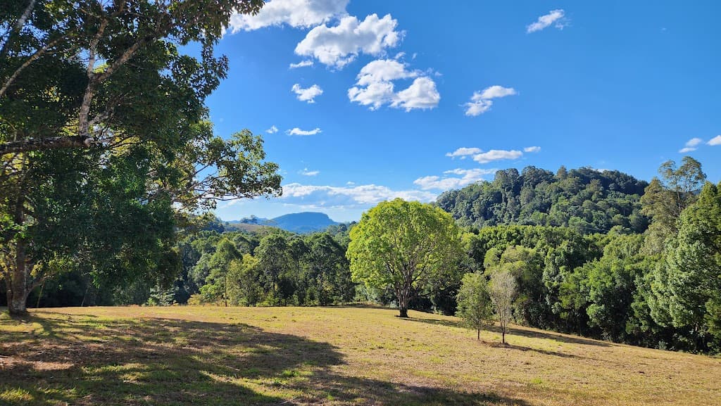 240 Rowlands Creek Road, Uki, NSW, 2484, Uki - Thumbnail 7