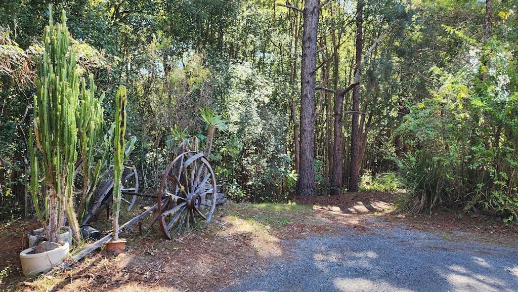 240 Rowlands Creek Road, Uki, NSW, 2484, Uki - Thumbnail 8
