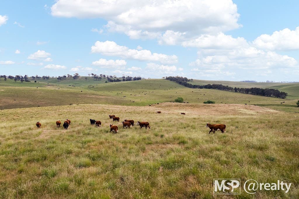 2314a Rockley Road, Rockley, NSW, 2795, Rockley - Thumbnail 8