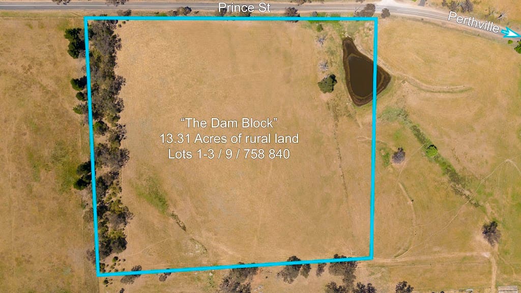 94 North Street, Perthville, NSW, 2795, Perthville - Thumbnail 5