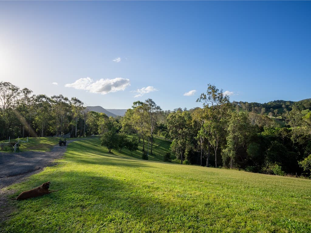 517 Delaney Creek Road, Delaneys Creek, QLD, 4514, Delaneys Creek - Thumbnail 5