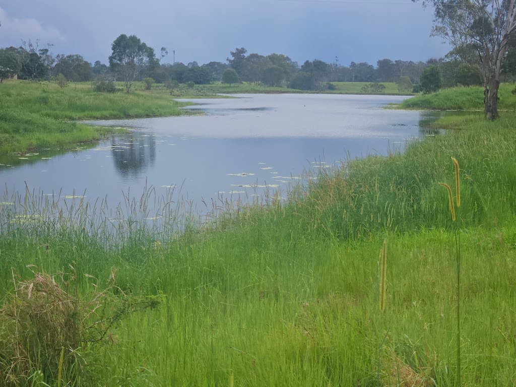 370 Eatonvale Road, Tinana, QLD, 4650, Tinana - Thumbnail 3