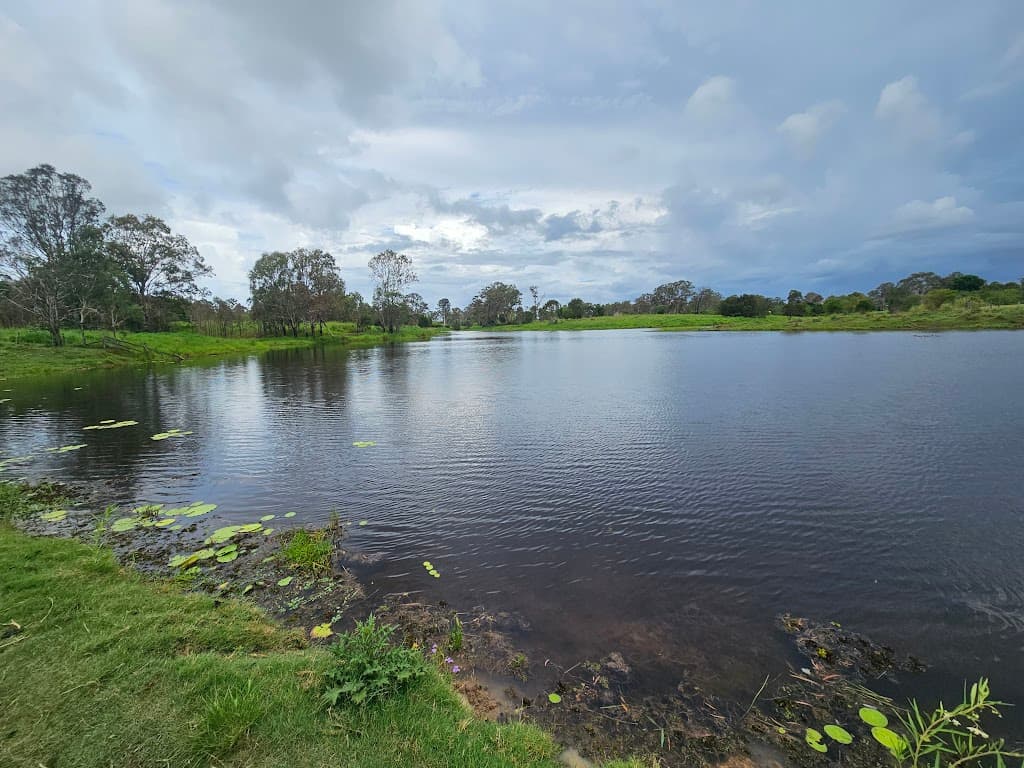 370 Eatonvale Road, Tinana, QLD, 4650, Tinana - Thumbnail 4