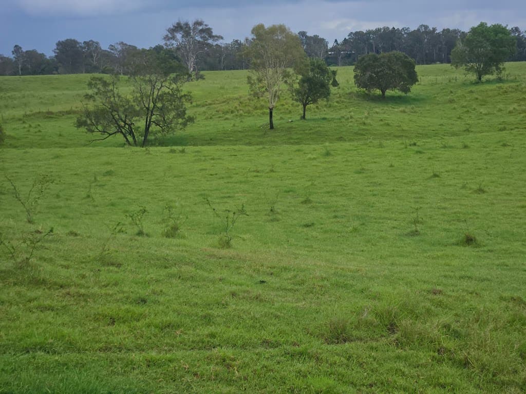 370 Eatonvale Road, Tinana, QLD, 4650, Tinana - Thumbnail 6