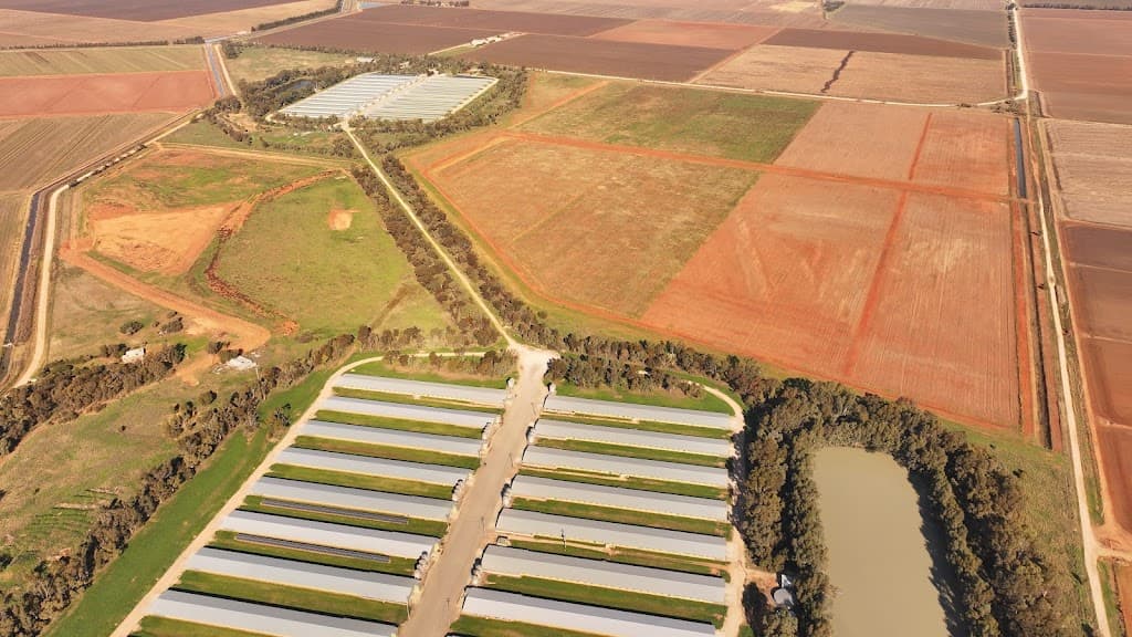 187 Rathbone Road, Tharbogang, NSW, 2680, Tharbogang - Thumbnail 2