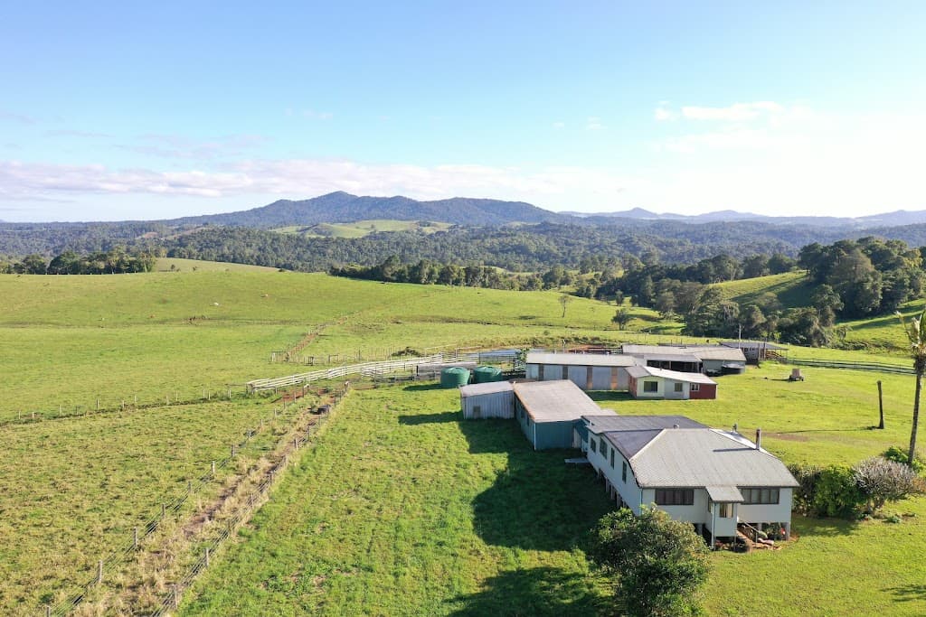 4903 Palmerston Highway, Millaa Millaa, QLD, 4886, Millaa Millaa - Image 1