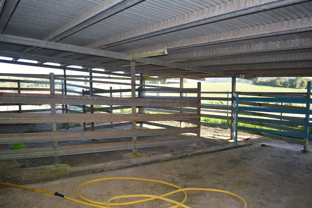 4903 Palmerston Highway, Millaa Millaa, QLD, 4886, Millaa Millaa - Thumbnail 5