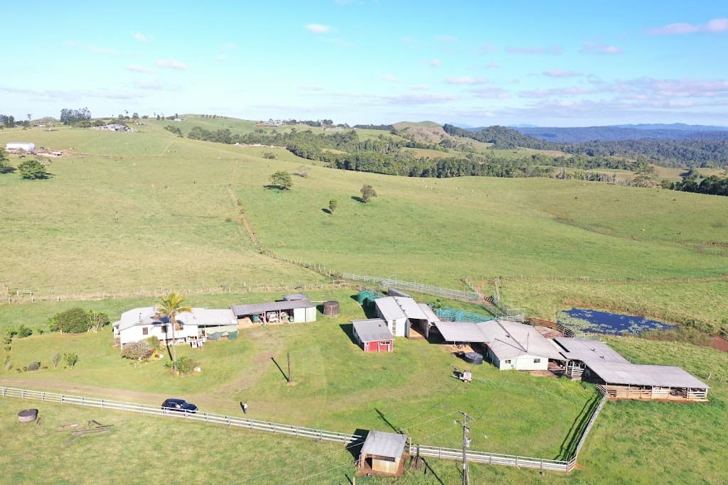 4903 Palmerston Highway, Millaa Millaa, QLD, 4886, Millaa Millaa - Thumbnail 6
