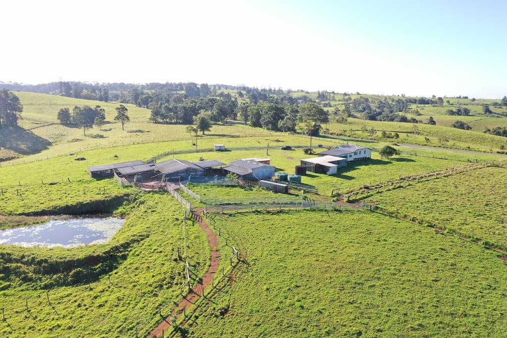 4903 Palmerston Highway, Millaa Millaa, QLD, 4886, Millaa Millaa - Thumbnail 7