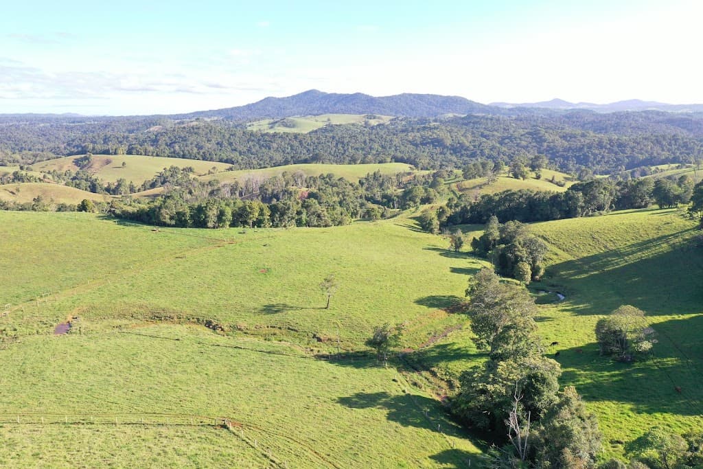 4903 Palmerston Highway, Millaa Millaa, QLD, 4886, Millaa Millaa - Thumbnail 8