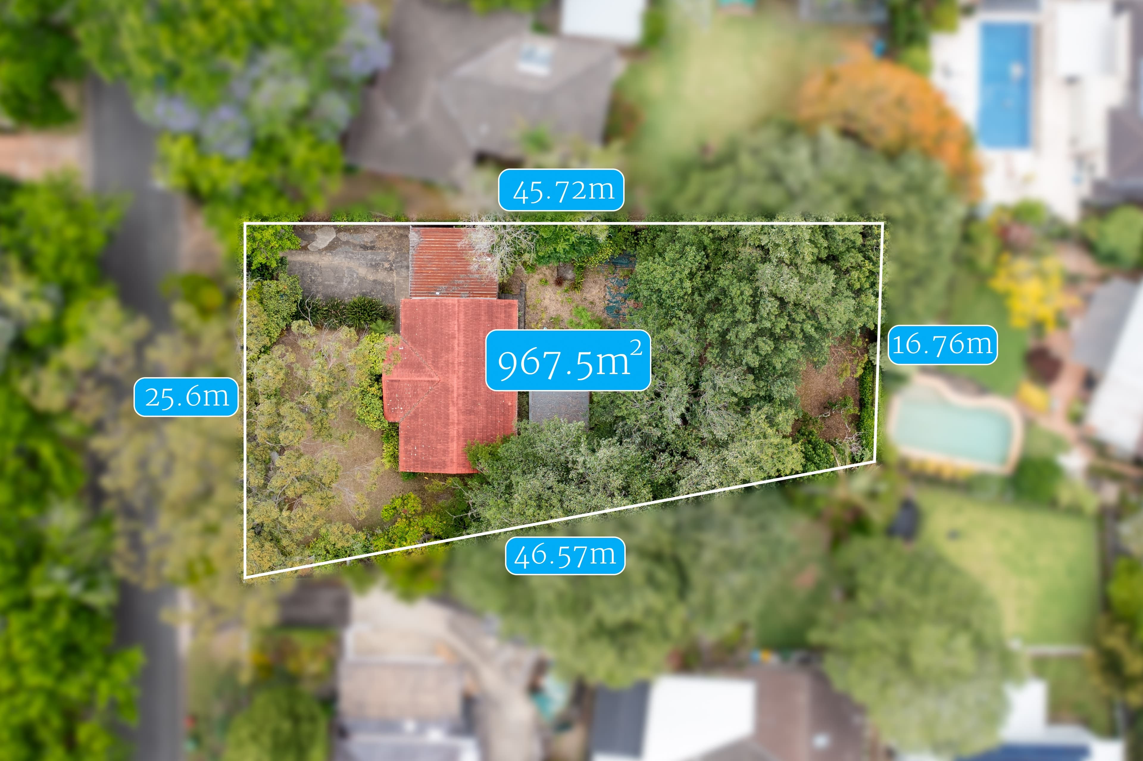 3 Browning Road, Turramurra, NSW, 2074, North Turramurra - Thumbnail 3