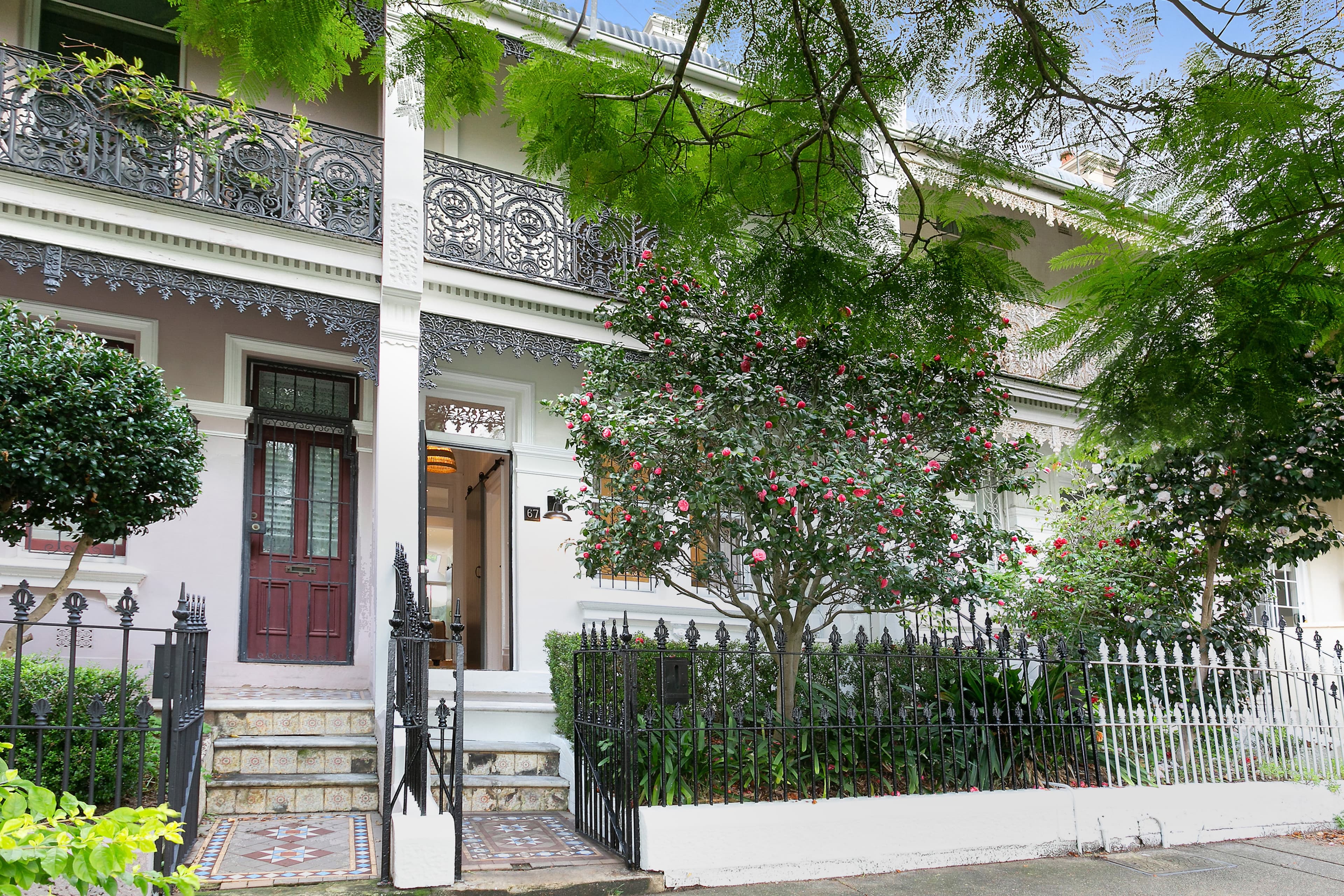 67 Stafford Street, Paddington, NSW, 2021, Paddington - Thumbnail 8