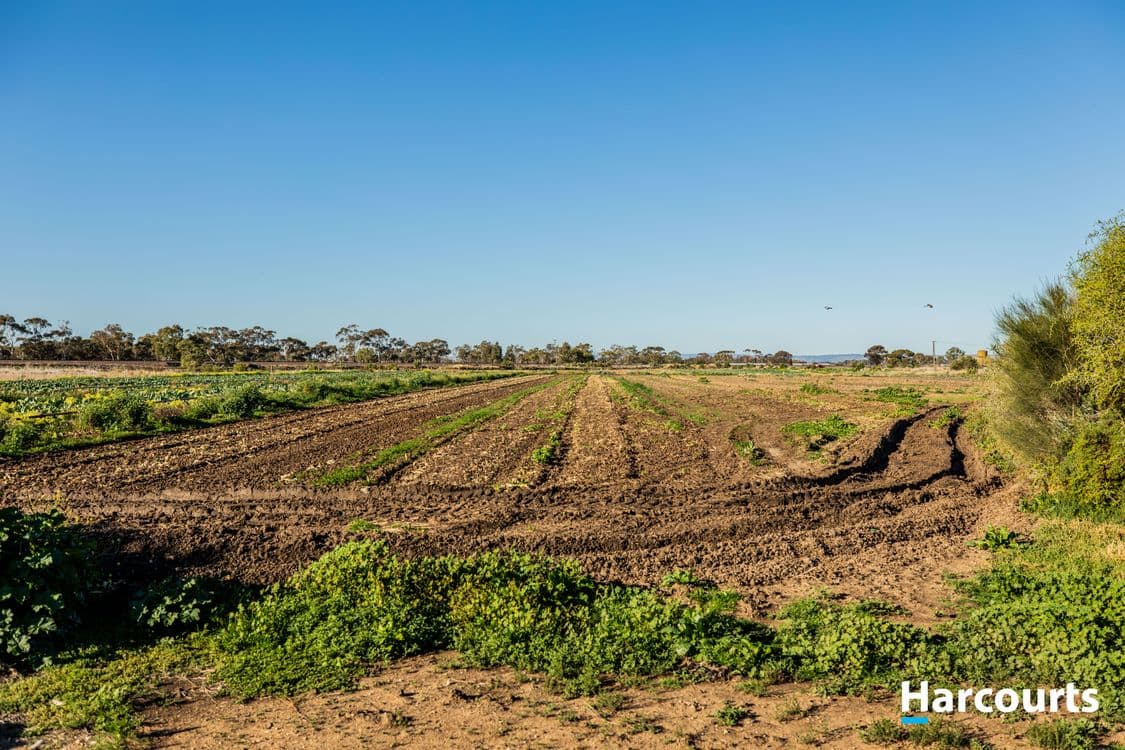505 Old Port Wakefield Road, TWO WELLS, SA 5501, Two Wells - Thumbnail 4