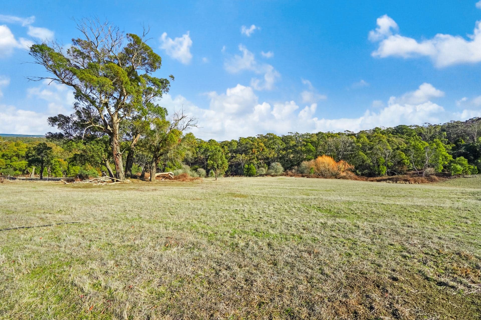 141 Smokeytown Road, Springmount, Springmount - Thumbnail 7