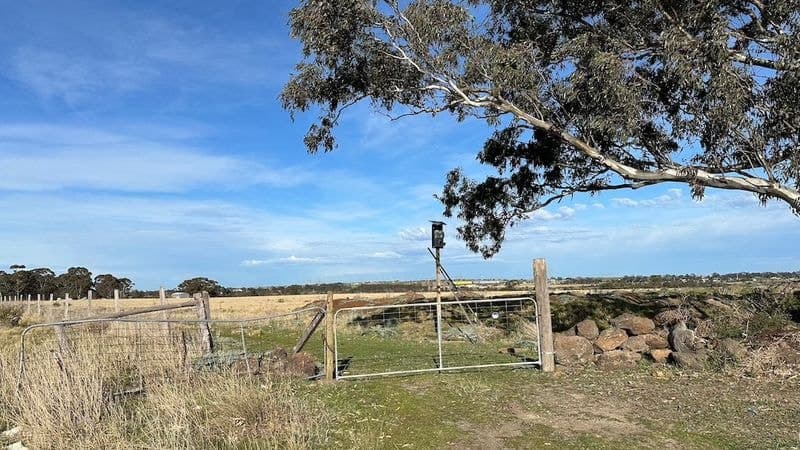395 Loemans Road, BULLA, Bulla - Thumbnail 2