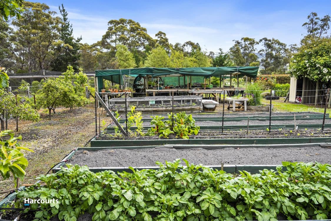 19 Rowes Road, CRADOC, TAS 7109, Cradoc - Thumbnail 8