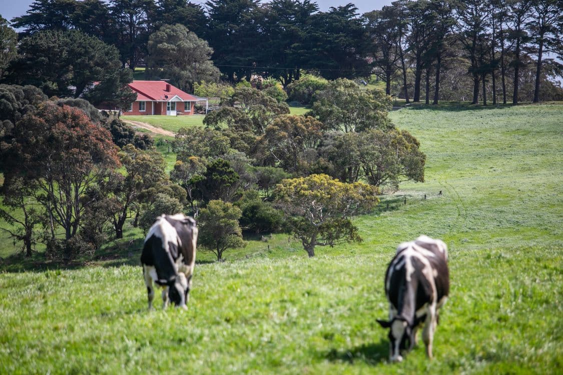 15A Bennett Road, CAPE JERVIS, SA 5204, Cape Jervis - Image 1