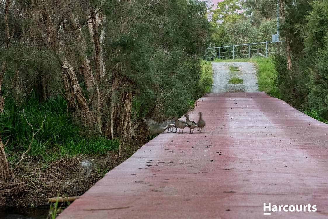1849 Great Northern Highway, BULLSBROOK, WA 6084, Bullsbrook - Thumbnail 2