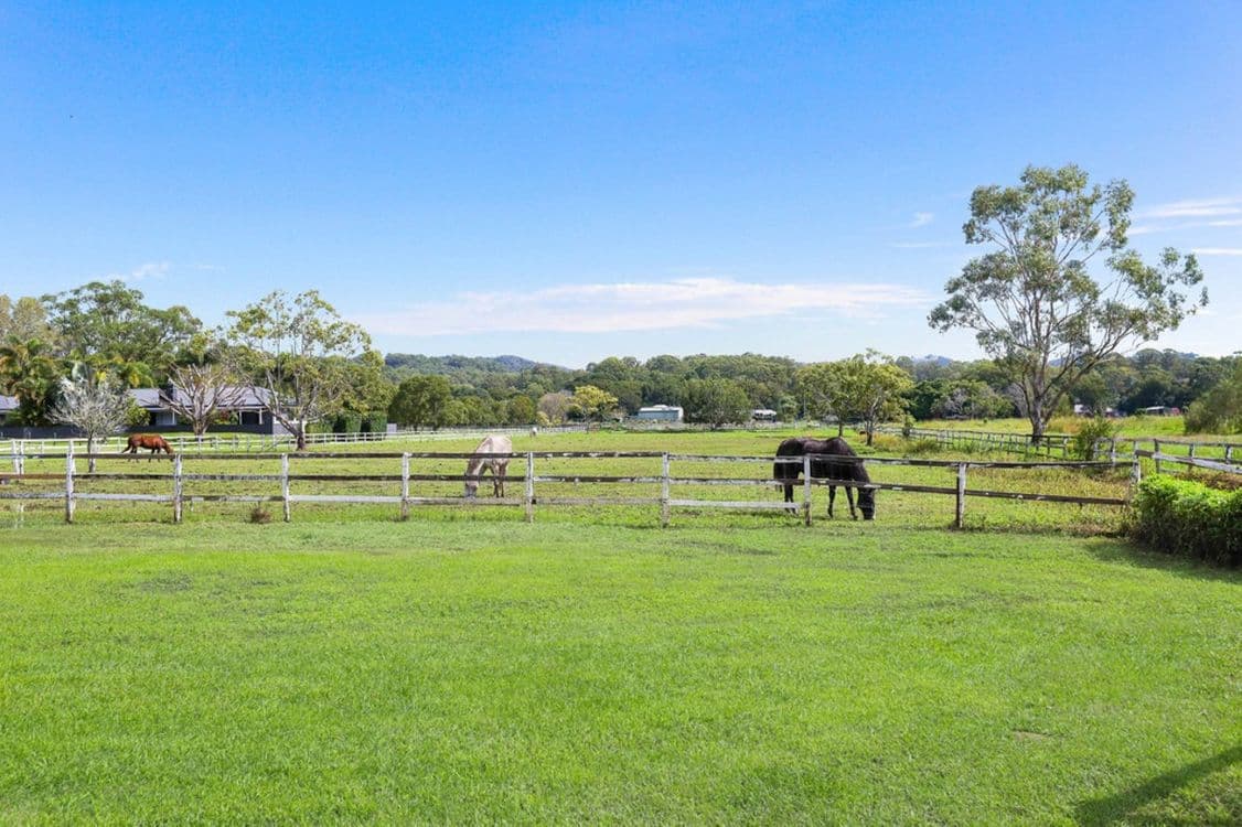 66 Valley Drive, Tallebudgera, QLD 4228, Tallebudgera - Thumbnail 5