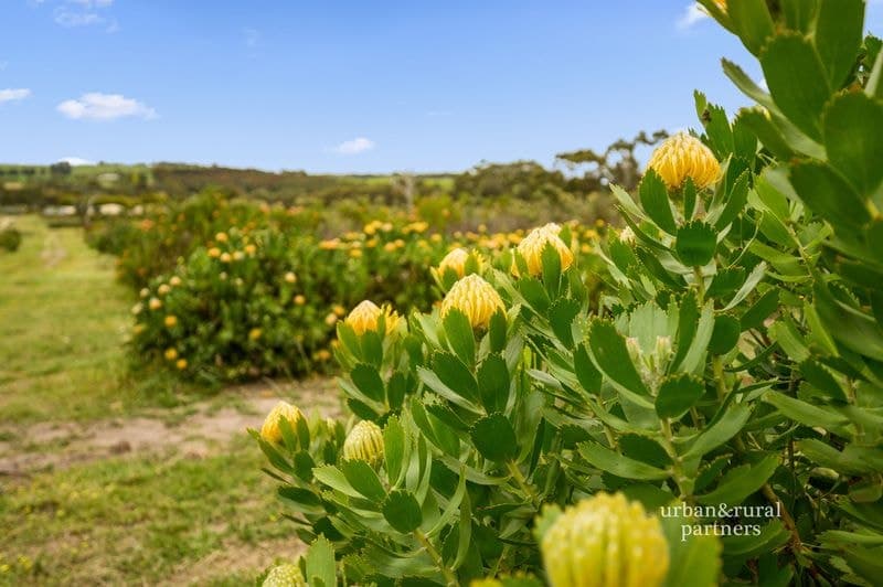 240a Braeside Road, FINNISS, Finniss - Thumbnail 2