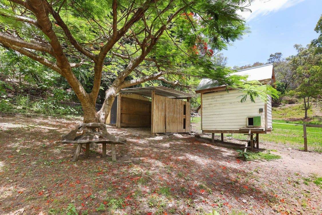 116 The Panorama, Tallai, QLD 4213, Tallai - Thumbnail 8