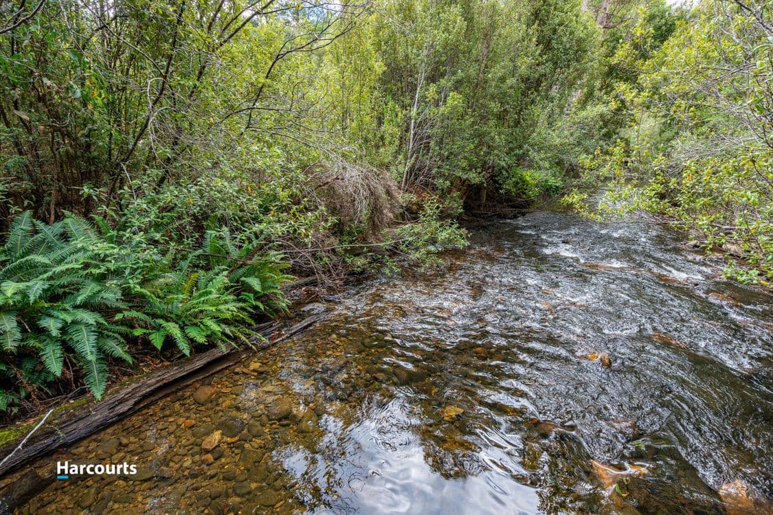 733 Denison Road, LONNAVALE, TAS 7109, Lonnavale - Thumbnail 2
