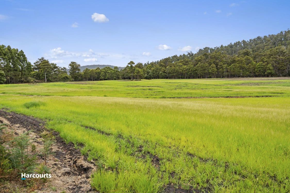 733 Denison Road, LONNAVALE, TAS 7109, Lonnavale - Thumbnail 4