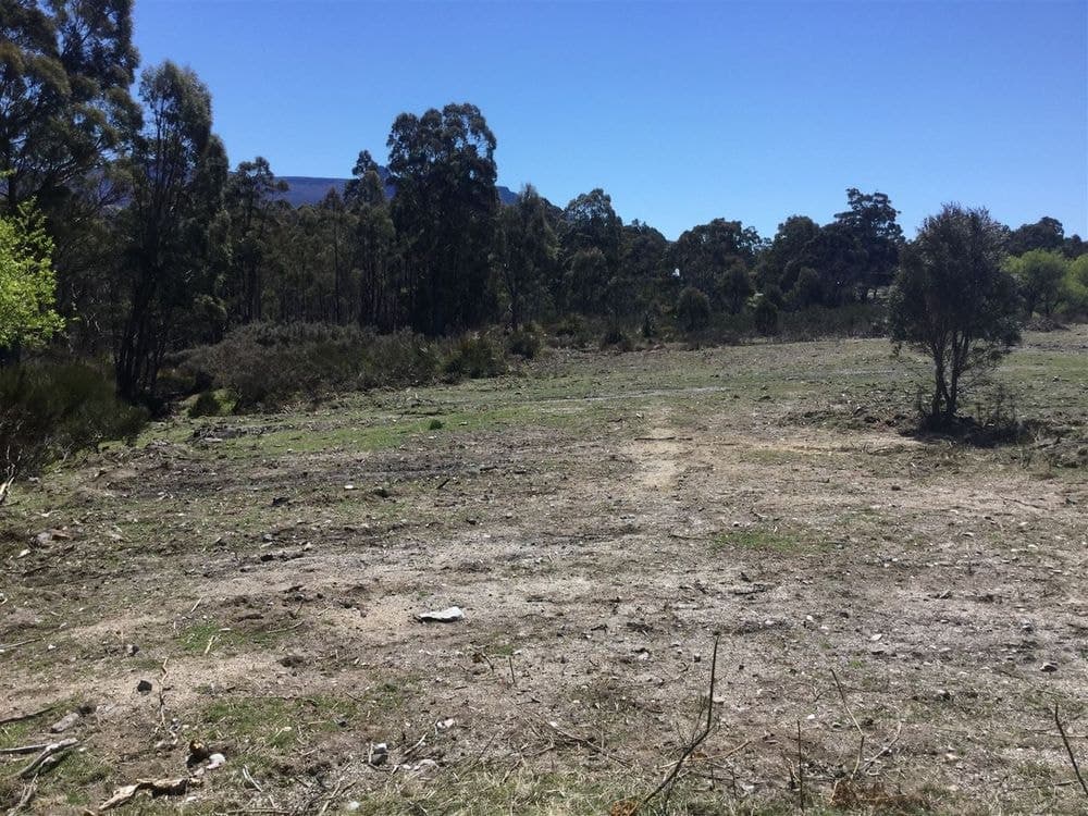 1 Walter Street, ROSSARDEN, TAS 7213, Rossarden - Thumbnail 5